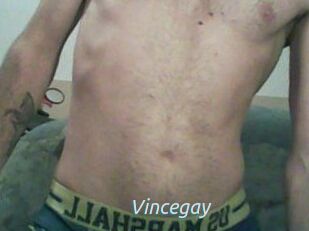 Vincegay