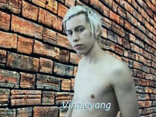 Vinnieyang