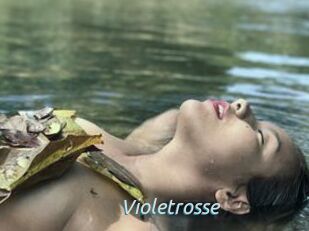 Violetrosse