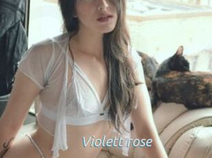 Violett_rose