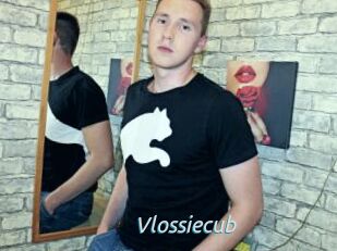 Vlossiecub