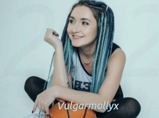 Vulgarmollyx