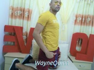WayneQuinn