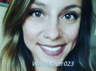 WildFlower023