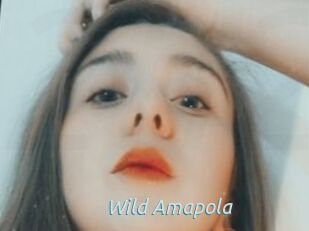 Wild_Amapola