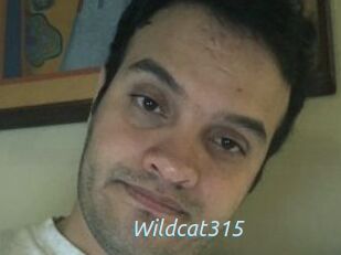 Wildcat315