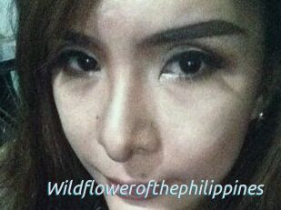 Wildflowerofthephilippines