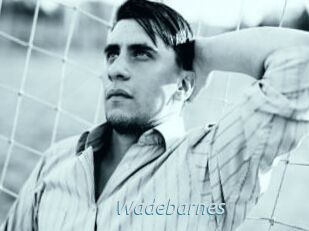 Wadebarnes