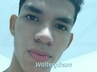 Waltergibson