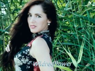 Wildredflower