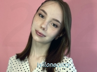 Wilonecatts