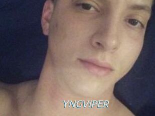 YNGVIPER