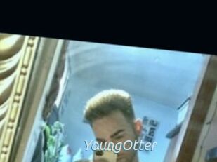 YoungOtter