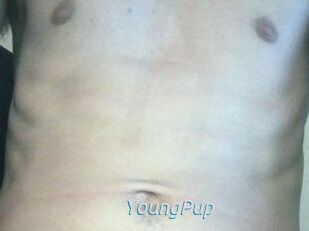 YoungPup