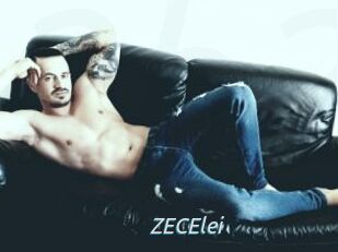 ZECElei