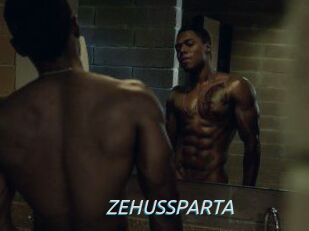 ZEHUS_SPARTA