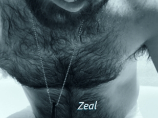 Zeal