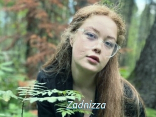 Zadnizza