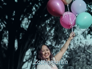 Zattinmartin