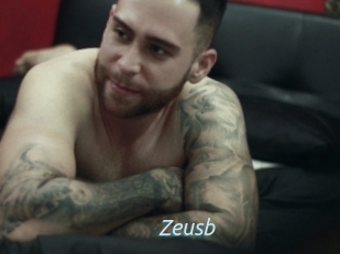 Zeusb