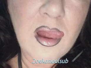 Zoekanaalsub